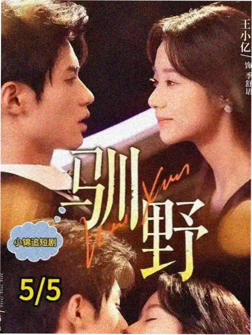 双面证人剧集海报
